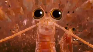 Backdrop to the movie "Happy Feet Two" #725482