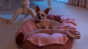 Backdrop to the movie "Grafted" #615103