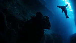 Backdrop to the movie "Guardians of the Galapagos" #720070