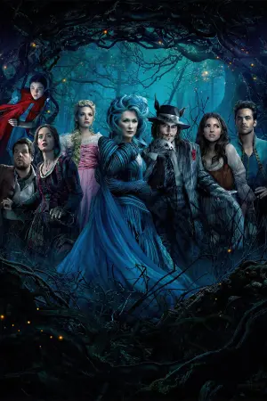 Poster to the movie "Into the Woods" #373898