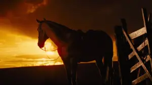 Backdrop to the movie "War Horse" #719025