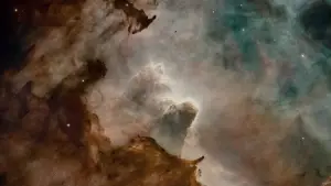 Backdrop to the movie "The Tree of Life" #723972