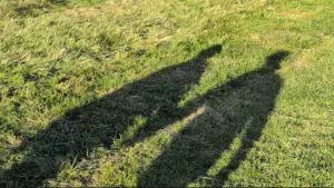 Backdrop to the movie "CRONY" #544440