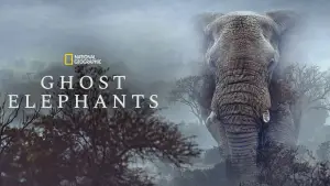 Backdrop to the movie "Ghost Elephants" #764750