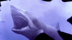 Backdrop to the movie "Jaws" #768198