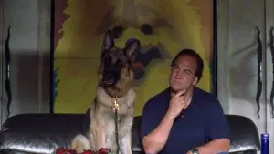 Backdrop to the movie "K-9: P.I." #433158