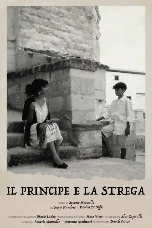 Poster to the movie "The Prince and the Witch" #881645