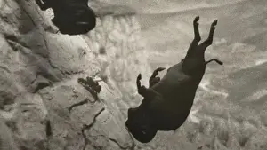 Backdrop to the movie "Eddington" #545284