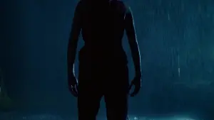 Backdrop to the movie "The Passenger" #506525