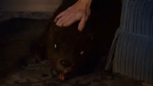 Backdrop to the movie "Zombeavers" #878571