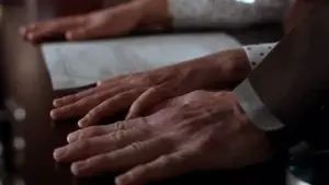 Backdrop to the movie "Secretary" #718448