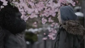 Backdrop to the movie "War for the Planet of the Apes" #235042