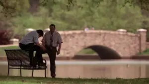 Backdrop to the movie "Shallow Hal" #697099