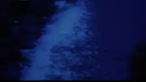 Backdrop to the movie "Predator" #559768