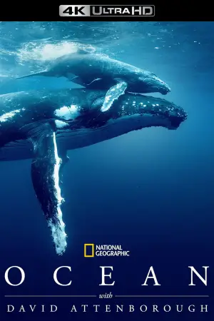 Poster to the movie "Ocean with David Attenborough" #617872