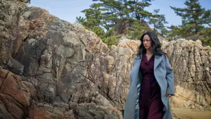 Backdrop to the movie "Decision to Leave" #219025