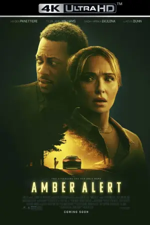 Poster to the movie "Amber Alert" #649322