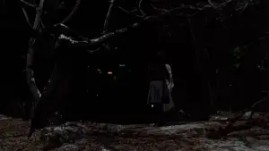 Backdrop to the movie "Wishing Stairs" #746618