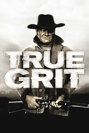 Poster to the movie "True Grit" #711410