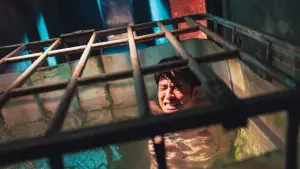 Backdrop to the movie "Organ Child" #635936