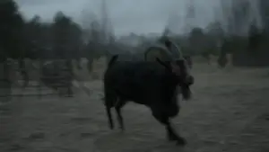 Backdrop to the movie "The Witch" #600289