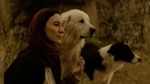 Backdrop to the movie "Yunan" #538548