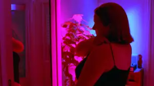 Backdrop to the movie "Sugarbaby" #697915