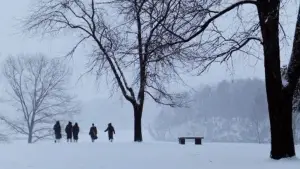 Backdrop to the movie "Dead Poets Society" #573903