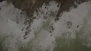 Backdrop to the movie "The Waves Saga" #556021