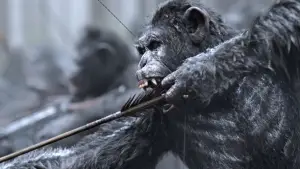 Backdrop to the movie "War for the Planet of the Apes" #585975