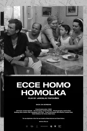 Poster to the movie "Behold Homolka" #537457