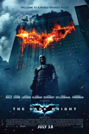 Poster to the movie "The Dark Knight" #522592