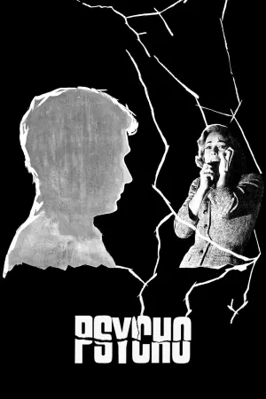Poster to the movie "Psycho" #174018