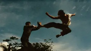 Backdrop to the movie "The Big Boss" #726725