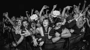 Backdrop to the movie "40 Years of Fuckin