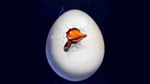 Backdrop to the movie "Howard the Duck" #354146