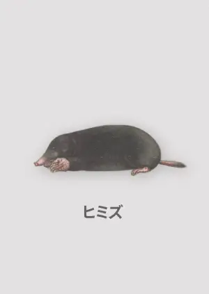 Poster to the movie "Himizu" #951462