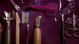 Backdrop to the movie "Secretary" #718411