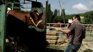 Backdrop to the movie "RN 72, à la conquête de l