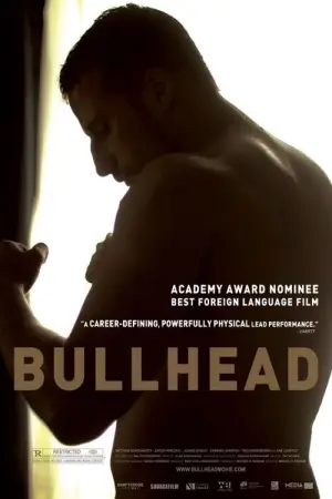 Poster to the movie "Bullhead" #726119