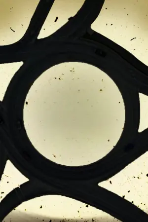 Poster to the movie "Crazxy" #792188