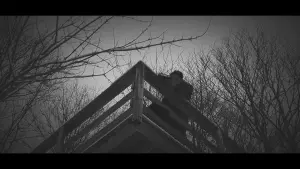 Backdrop to the movie "Echoes Of Ivory" #467563