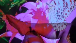 Backdrop to the movie "Beijo de Borboleta" #444508