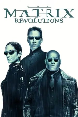 Poster to the movie "The Matrix Revolutions" #604731