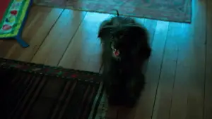 Backdrop to the movie "Die My Love" #513543