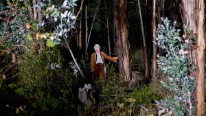 Backdrop to the movie "Liberté" #498254