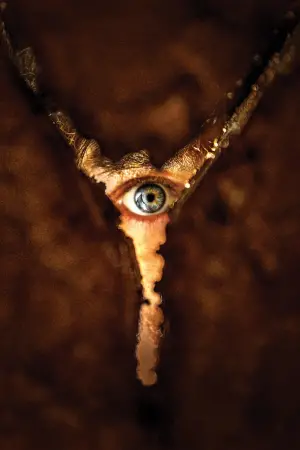 Poster to the movie "Return to Silent Hill" #508968