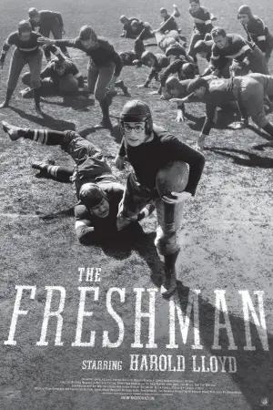 Poster to the movie "The Freshman" #768409