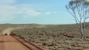 Backdrop to the movie "Mad Max 2" #409967