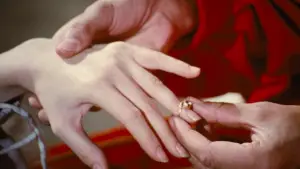 Backdrop to the movie "Donkey Skin" #812114